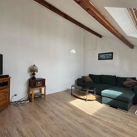Duplex With Terrace Near